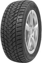 Winter WD1 225/45R17 94T