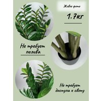 Искусственное растение Merry Bear Home Decor Замиокулькас AZ04075