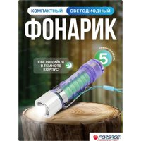 Фонарь FORSAGE F-CAM590 (60097)