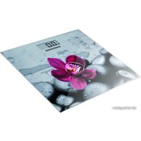 Напольные весы Redmond (Редмонд) RS-733 орхидея