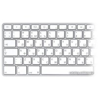 Клавиатура Apple MB110 Wired Keyboard [MB110RS/B] в Бресте