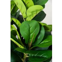 Искусственное растение Merry Bear Home Decor Фикус Лировидный AX297145