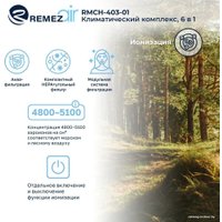 Климатический комплекс Remezair RMCH-403-01