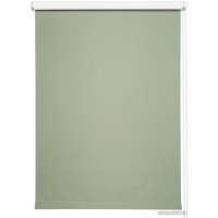 Рулонные шторы Legrand Блэкаут Болид 114x175 58127530 (олива)