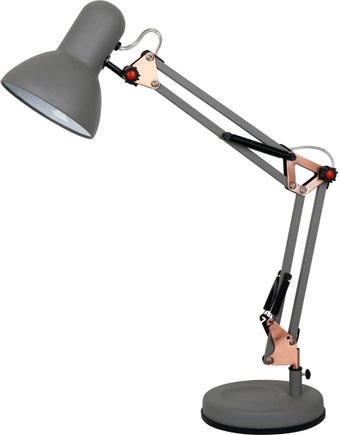 Arte Lamp Junior A1330LT-1GY