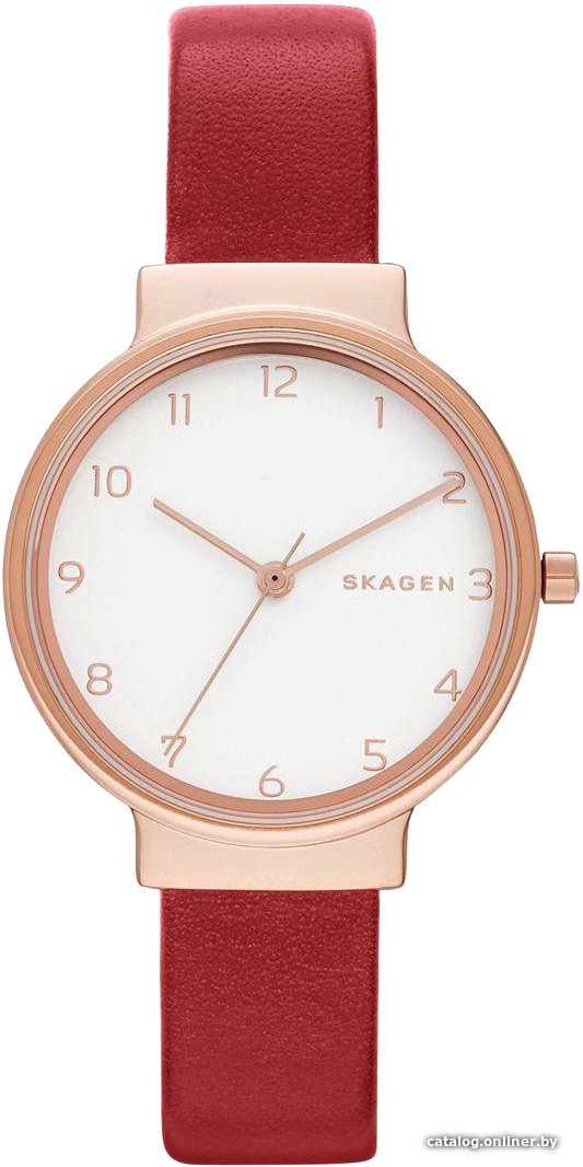 Наручные часы Skagen SKW2552