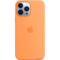 Чехол для телефона Apple MagSafe Silicone Case для iPhone 13 Pro Max (весенняя мимоза)