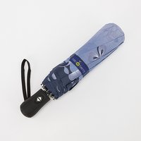 Зонт Rain Berry Цветы 734-23342.1