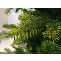 Ель GreenTerra Ноэль 2.4 м