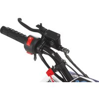 Квадроцикл Yacota Raposa 110 куб.см. (белый)