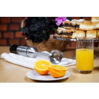 Погружной блендер Eldom BL230