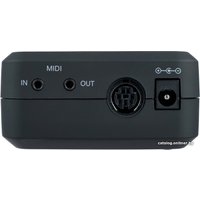 Аудиоинтерфейс IK Multimedia iRig Pro Duo I/O