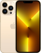 iPhone 13 Pro Dual SIM 1TB (золотой)