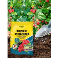 Удобрение Фаско Для ягодных кустарников гранулированное (1 кг)
