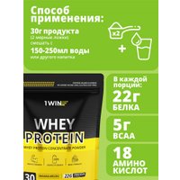 Протеин сывороточный (изолят) 1WIN Whey Protein (банан/дыня, 900г)