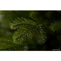 Ель GreenTerra Аляска темная 1.2 м