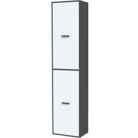 Шкаф распашной Интерлиния Skill-21 (2) (антрацит/белый)