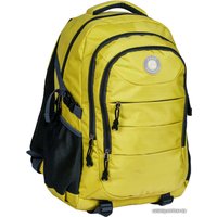 Городской рюкзак Paso Active 20-30060YL (желтый)