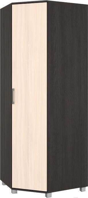 

Шкаф распашной Modern Ева Е57 (венге/дуб млечный)