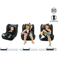 Детское автокресло Nania Trio Access (grey)