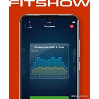 Электрическая беговая дорожка Titanium Masters Physiotech X-Compact в Барановичах