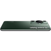 Смартфон Huawei P60 LNA-LX9 8GB/256GB (зеленый)