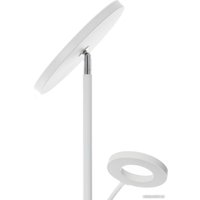 Торшер Citilux Click CL810010