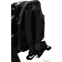 Ранцевая воздуходувка Verton BW-4/80