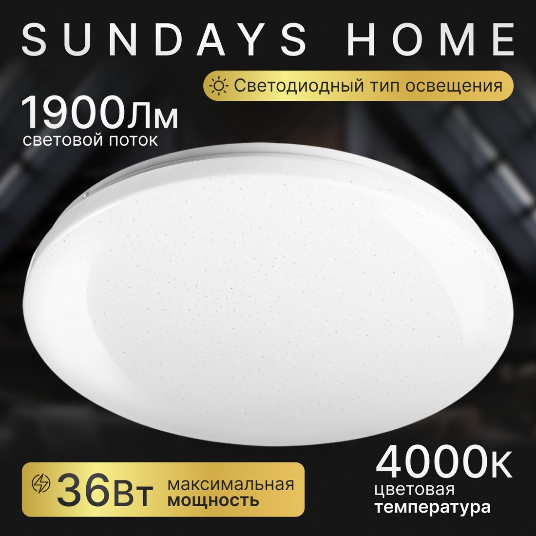 

Припотолочная люстра Sundays Home 240924-5 5719