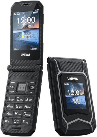 Кнопочный телефон Uniwa X29 (черный)
