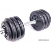 Гантель Central Sport N2 19.5 кг