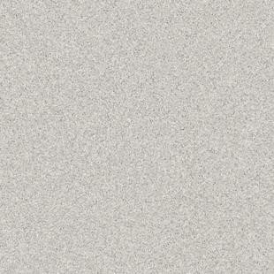 

Линолеум Tarkett Primo Plus 316 (2x2м)