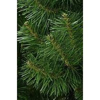 Сосна Erbis Sosna Сибирская 180