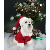 Куртка для животных Puppia Santa PDDF-SC23-RD-X (красный)