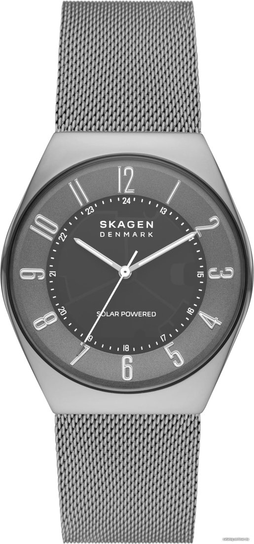 Наручные часы Skagen Grenen SKW6836