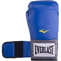 Тренировочные перчатки Everlast Pro Style Anti-MB 2212U (12 oz, синий)