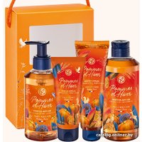 Подарочный набор Yves Rocher Набор Пряное яблоко