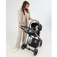 Универсальная коляска BEBETTO Pelpasso Pro (3 в 1, 03 kaszmir/черная кожа)