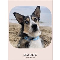 Ошейник Seadog Blue Seagull M в Солигорске
