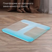 Напольные весы Redmond (Редмонд) SB1811 (голубой)