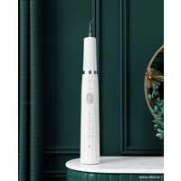 Прибор для удаления зубного камня Dr.Bei Ultrasonic Tooth Cleaner YC2 (белый)