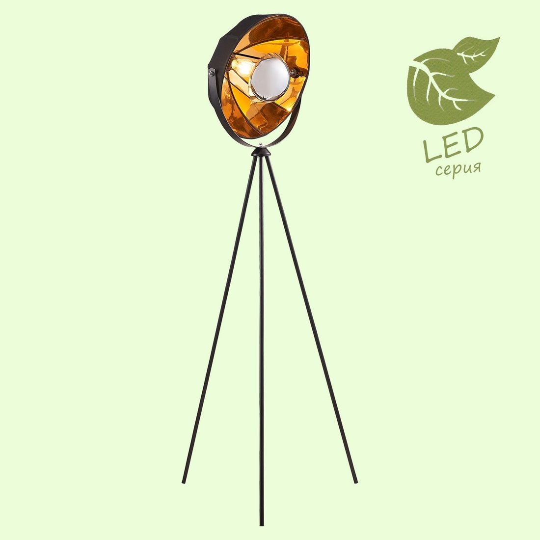 

Торшер Lussole Lgo GRLSP-0556