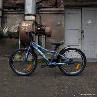 Детский велосипед Stels Pilot 210 20 Z010 2024 (серый)