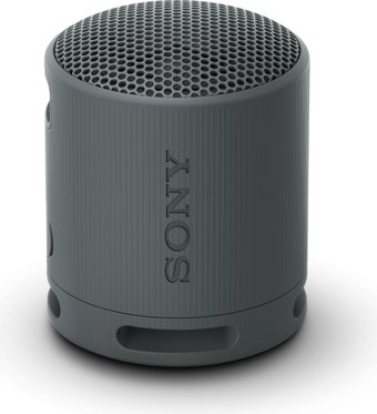 Sony XB100 (черный)