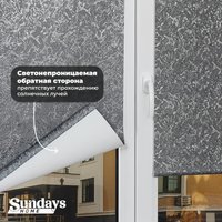 Рулонные шторы Sundays Home LM 97-24 67х160 (темно-серый)