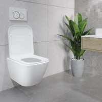 Унитаз подвесной Lauter Nuremberg 21811 + Breez 21GN7071CH