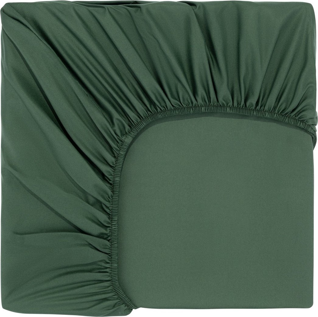 

Постельное белье Sofi De MarkO Трисс 90x200x20 Пр-Тр-90х200з (зеленый)