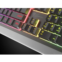 Клавиатура Genesis Rhod 300 RGB