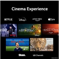 Телевизор LG QNED75 50QNED756RA