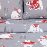 2-спальный комплект постельного белья Этель Зимние игры 4482240